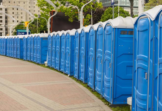 Seasonal porta potty units set up at a Racine, Wisconsin venue